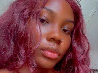 cam girl livecam AniMaculey